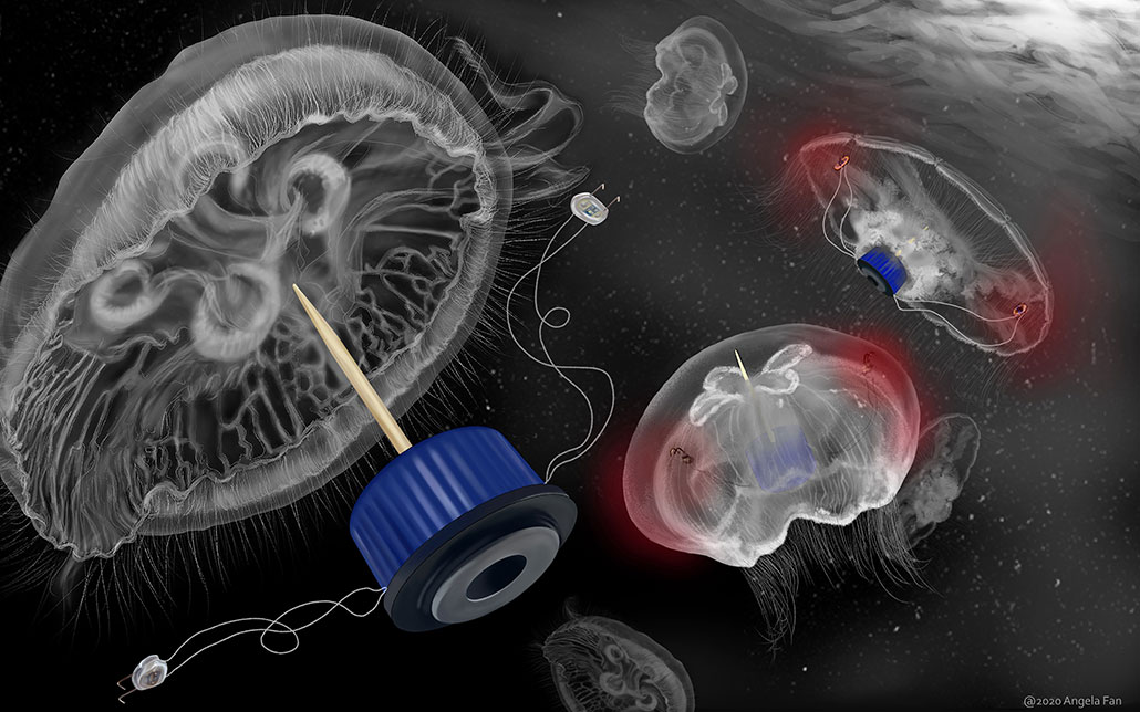 an illustration showing how blue bottle caps with toothpicks attached perpendicular to the bottom of the bottlecap, can be used for jellyfish robots