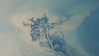 an aerial view of the Mississippi River Delta, showing elaborate branching patterns as an example of an avulsion